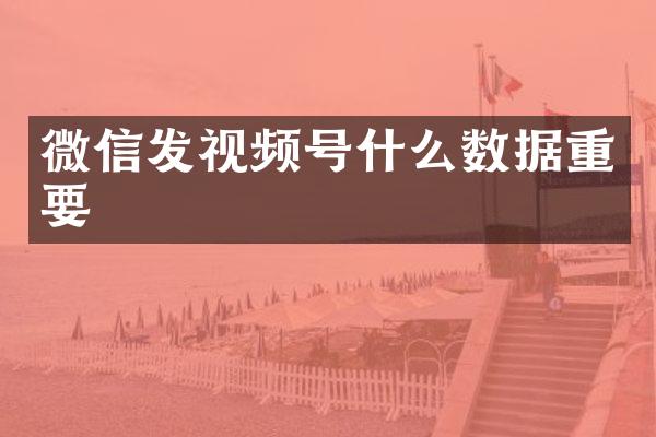 微信发视频号什么数据重要