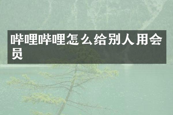 哔哩哔哩怎么给别人用会员