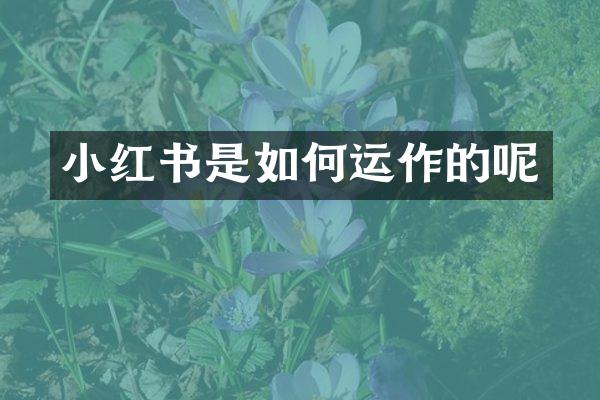 小红书是如何运作的呢