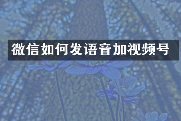 微信如何发语音加视频号