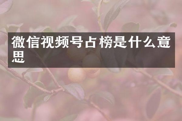 微信视频号占榜是什么意思