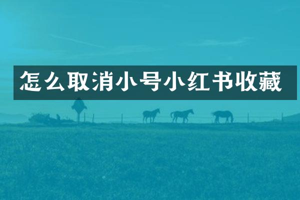 怎么取消小号小红书收藏