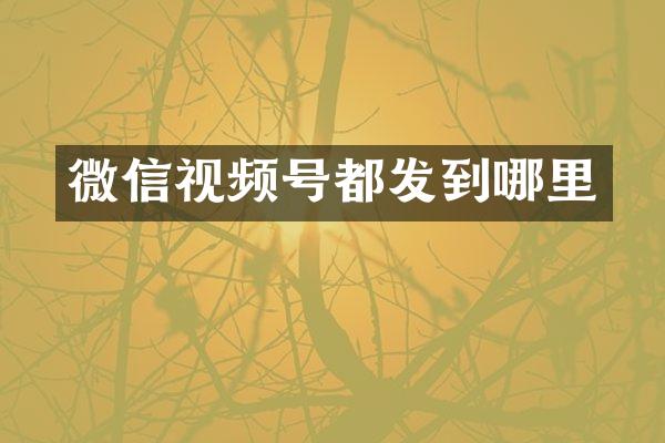 微信视频号都发到哪里