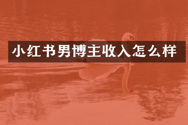 小红书男博主收入怎么样