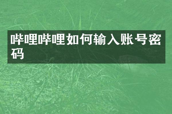 哔哩哔哩如何输入账号密码
