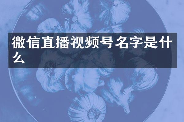 微信直播视频号名字是什么