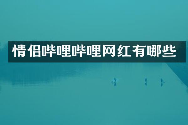 情侣哔哩哔哩网红有哪些