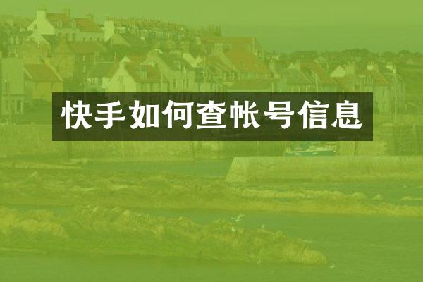 快手如何查帐号信息