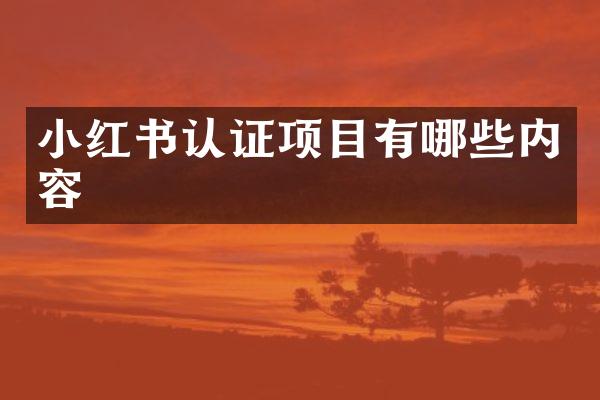 小红书认证项目有哪些内容
