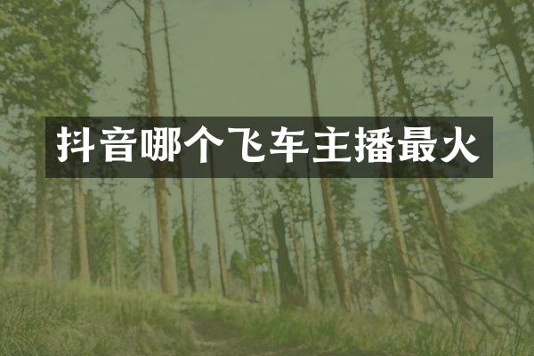 抖音哪个飞车主播最火