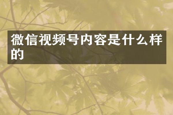 微信视频号内容是什么样的