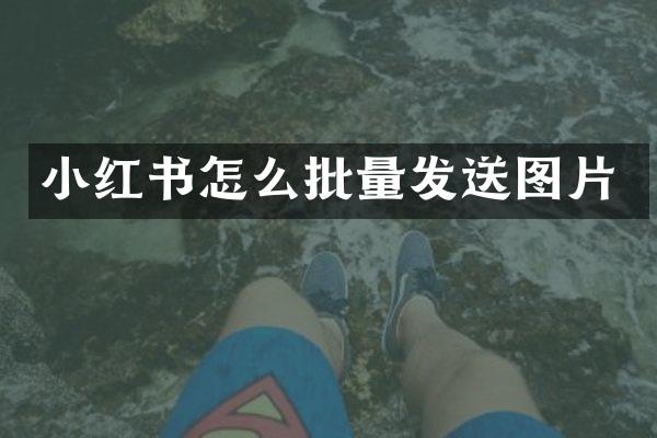 小红书怎么批量发送图片