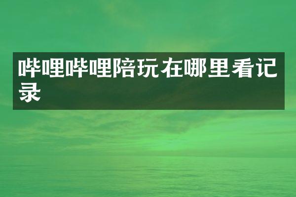 哔哩哔哩陪玩在哪里看记录