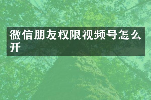 微信朋友权限视频号怎么开