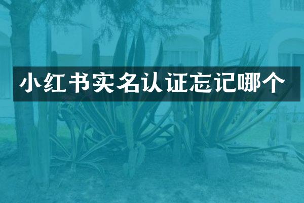 小红书实名认证忘记哪个