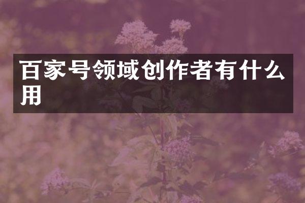 百家号领域创作者有什么用