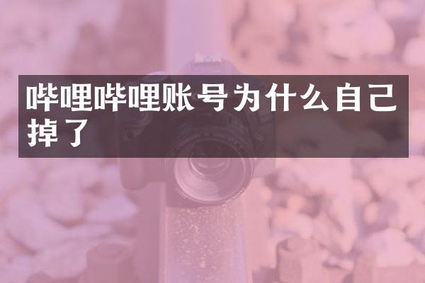 哔哩哔哩账号为什么自己掉了
