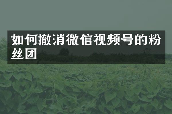 如何撤消微信视频号的粉丝团