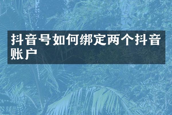抖音号如何绑定两个抖音账户