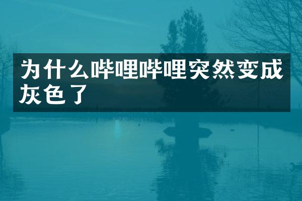 为什么哔哩哔哩突然变成灰色了