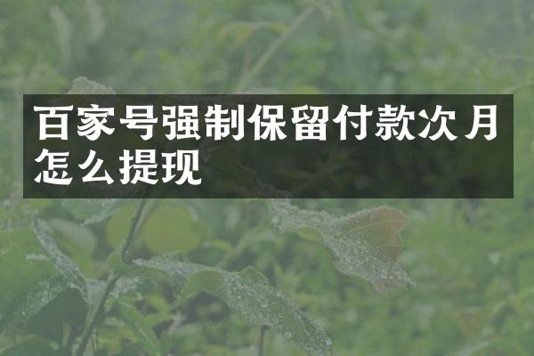 百家号强制保留付款次月怎么提现