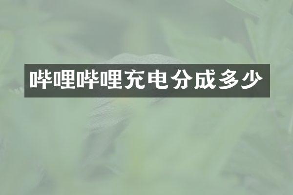 哔哩哔哩充电分成多少