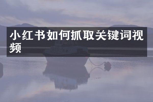 小红书如何抓取关键词视频