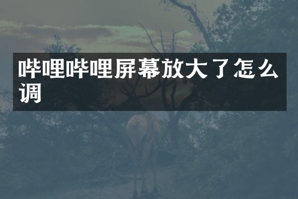 哔哩哔哩屏幕放大了怎么调