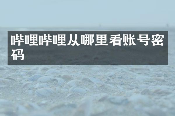哔哩哔哩从哪里看账号密码
