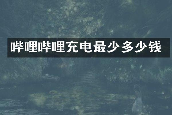 哔哩哔哩充电最少多少钱