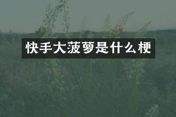快手大菠萝是什么梗