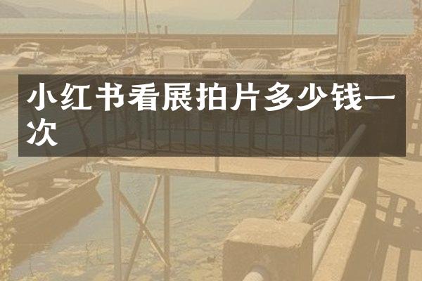 小红书看展拍片多少钱一次