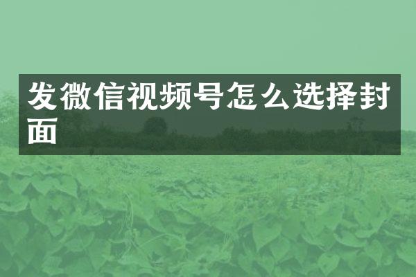 发微信视频号怎么选择封面