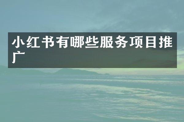 小红书有哪些服务项目推广