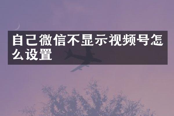 自己微信不显示视频号怎么设置