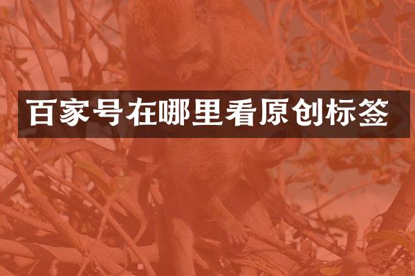 百家号在哪里看原创标签