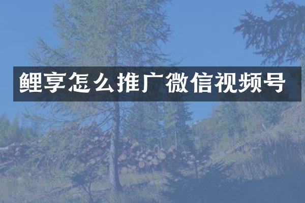 鲤享怎么推广微信视频号
