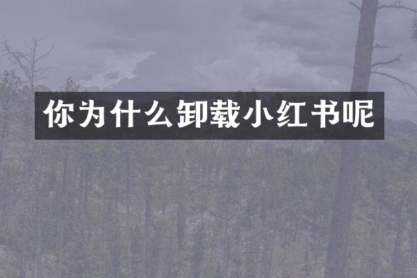 你为什么卸载小红书呢