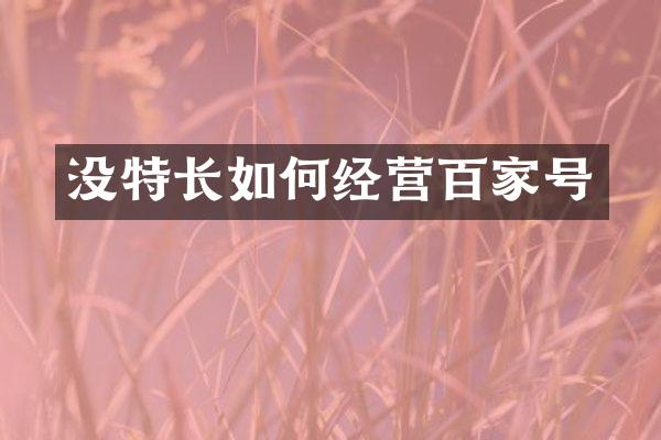 没特长如何经营百家号