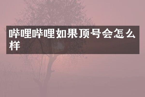 哔哩哔哩如果顶号会怎么样