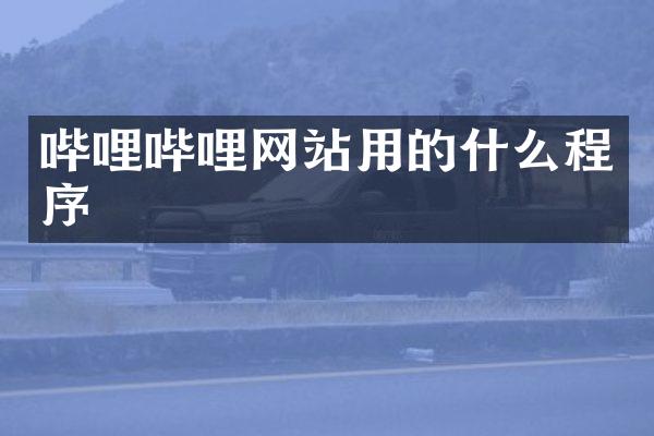哔哩哔哩网站用的什么程序