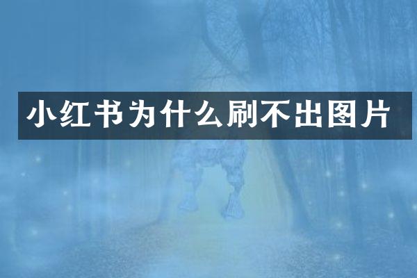 小红书为什么刷不出图片