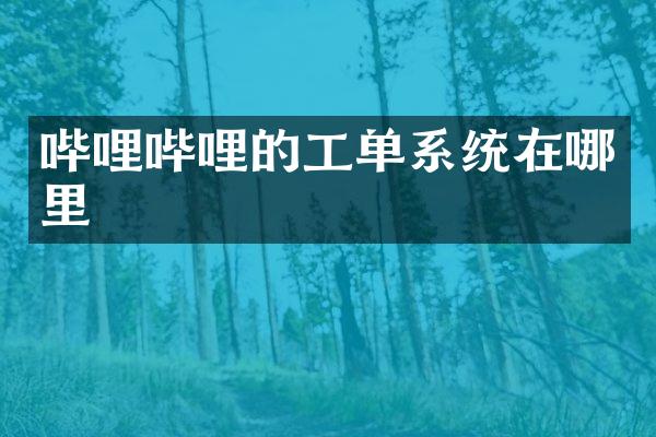 哔哩哔哩的工单系统在哪里