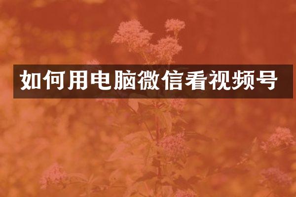 如何用电脑微信看视频号