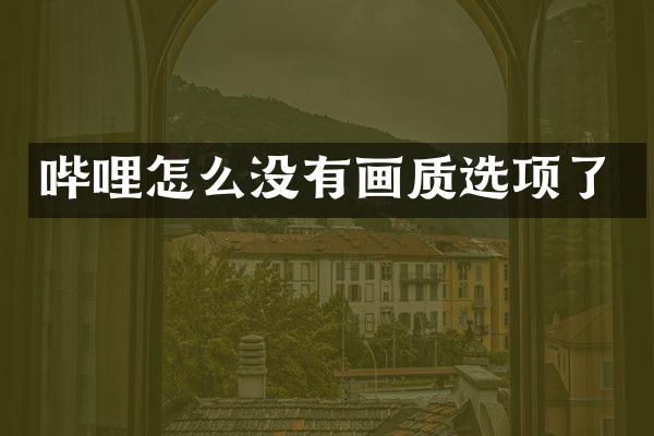 哔哩怎么没有画质选项了
