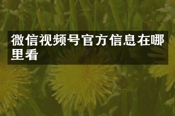 微信视频号官方信息在哪里看