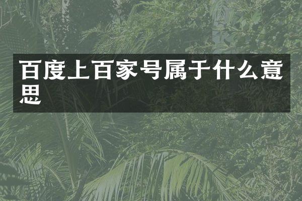 百度上百家号属于什么意思