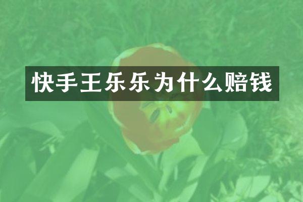 快手王乐乐为什么赔钱