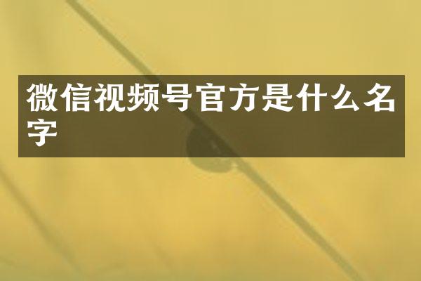 微信视频号官方是什么名字