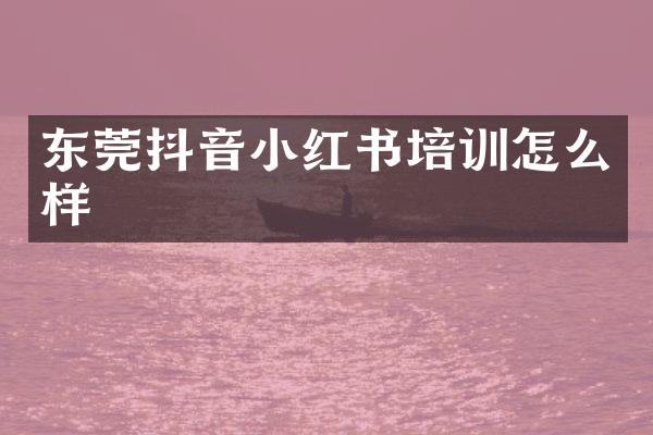 东莞抖音小红书培训怎么样